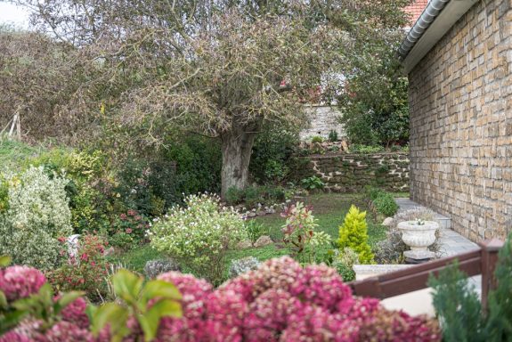 location-gite-cap-gris-nez-cote-opale